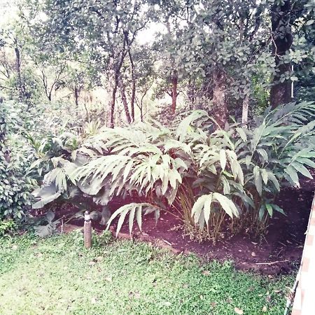 Hill Mist Thekkady Hotel Buitenkant foto