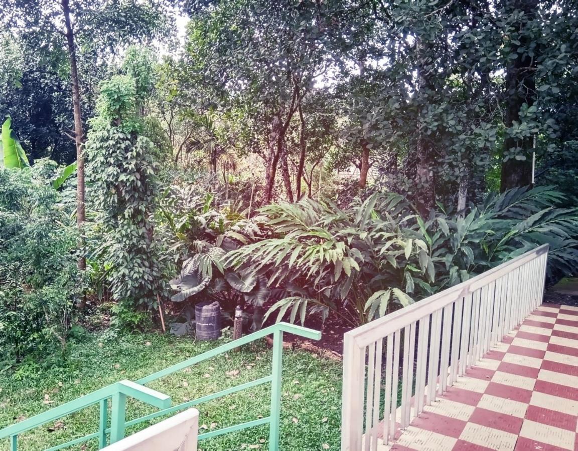 Hill Mist Thekkady Hotel Buitenkant foto