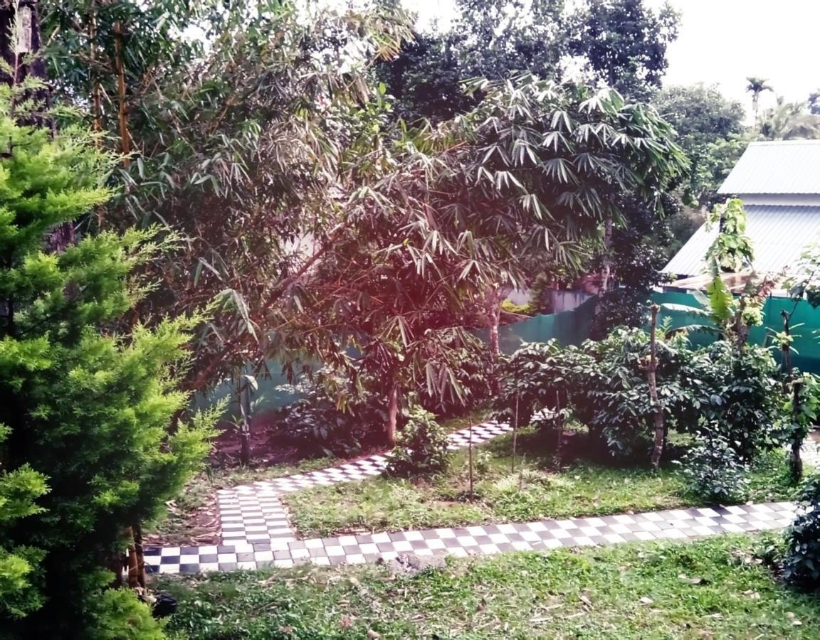 Hill Mist Thekkady Hotel Buitenkant foto